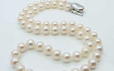 No Reserve Price - Akoya Pearls, Round, 6.5 -7 mm Silver - Necklace