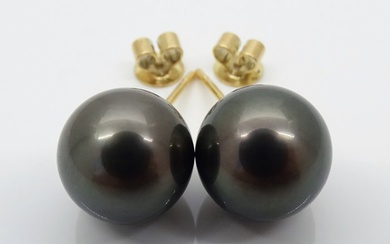 No Reserve Price - Tahitian Pearls, Rikitea Pearls, Midnight Peacock, Round, 10.94, 11.03 mm - 14 kt. Yellow gold - Earrings