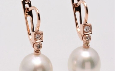 No reserve price - 14 kt. Rose Gold- 10x11mm Champagne White South Sea Pearls - Earrings - 0.07 ct