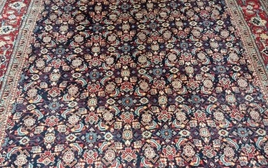 Sarouck - Carpet - 317 cm - 228 cm