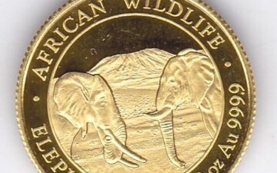 Somalia - 100 shillings 2020 "African Wildlife - Elephant" (1/10 ounce) - Gold
