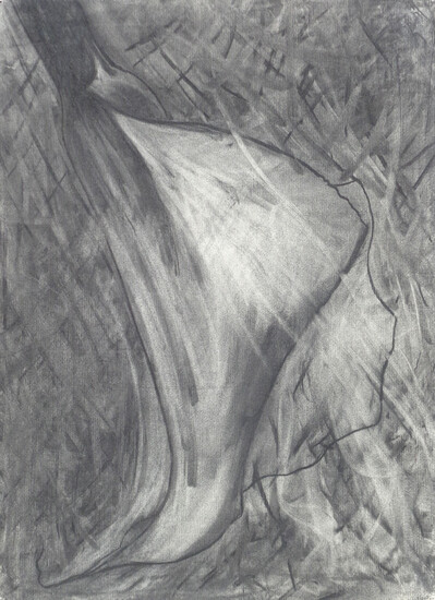 Susan Wilmarth Rabineau Calla Lily, 1989;Carboncino su carta, 66,3 x 48 cm.,...