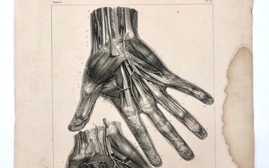 Teaching materials - Nicolas-Henri Jacob & Jean Baptiste Marc Bourgery - traité d'anatomie de l'homme 1881 - Paper - 1850-1900