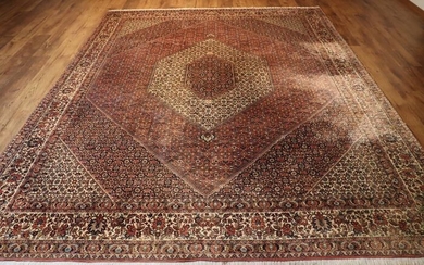 Tekap Bidjar Iran - Carpet - 335 cm - 253 cm