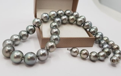 United Pearl - 8x11mm Silvery Green Tahitian Pearls - 14 kt. White gold - Necklace