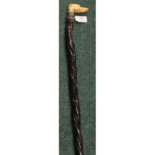 Victorian bulls pizzle walking stick with added carved Ivory...