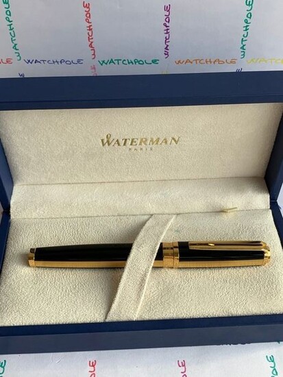 Waterman - Fountain pen - IDEAL Big Size Full Seth Rare