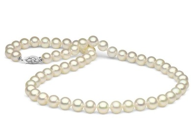 White Freshwater Pearl Necklace, 7.5-8.0mm