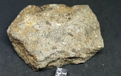 meteorite hed eucrite nwa 12669 - 316 g - (1)