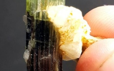 06 Grams Amazing Green Tourmaline Crystal Specimen From