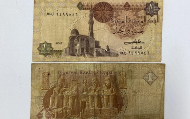 1 Pound Egyptien