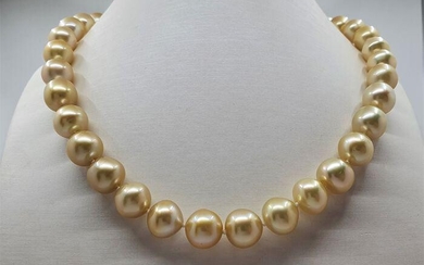 10.5x12mm Deep Golden South Sea Pearls - Necklace