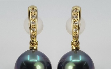 10x11mm Peacock Tahitian Pearl Drops - 0.08Ct - Earrings - 14 kt. Yellow gold