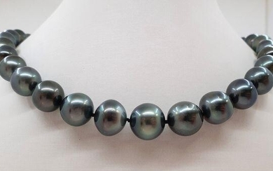 11x14.7mm Peacock Tahitian pearls - Necklace