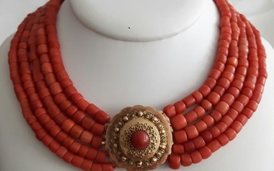 14 kt. Gold - Necklace - Blood coral