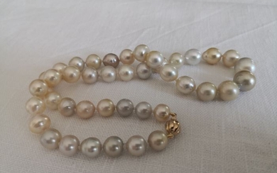 18 kt. South sea pearls, 8-11 mm - Necklace