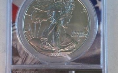 Part Silver Coin Auction - Morgan Dollars & More!