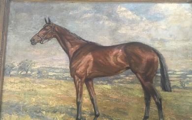 A framed oil painting on canvas study of a horse Wilton sig...