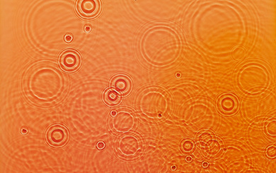 ADAM FUSS (1961- ) Untitled (orange water).