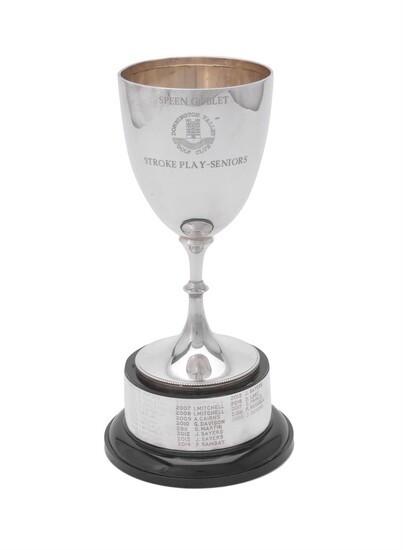 An Edwardian silver pedestal trophy cup by Martin, Hall & Co.