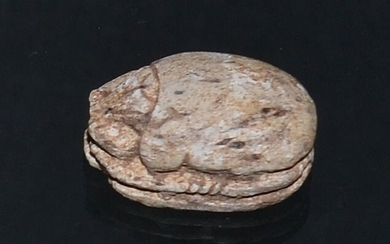 Ancient Egyptian Stone Scarab