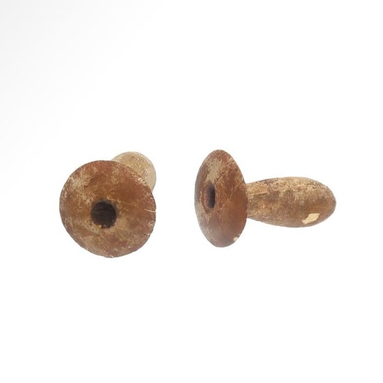 Ancient Egyptian Wood Pair of Painted Wood Ear Studs
