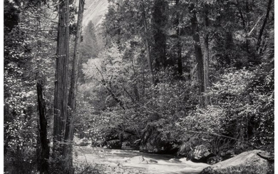 Ansel Adams (American, 1902-1984) Tenaya Creek