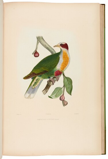 BONAPARTE, C.L. | Iconographie des pigeons, Paris 1857