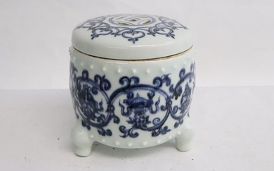 Blue and white porcelain tea caddy