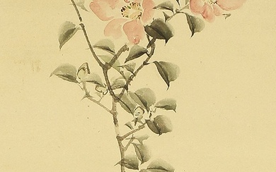 Camellias Daffodils and Little Bird - Yokoyama Seiki 横山清暉 (1792-1864) - Japan - Late Edo period (No Reserve Price)