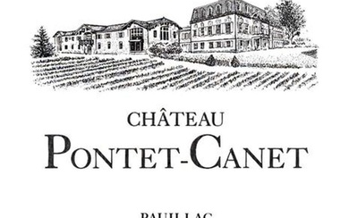 Château Pontet Canet 2010 (12 bottles)