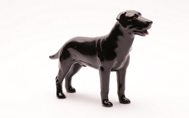 English Ceramic Figure of a Black Labrador, Sylvac Ware, marked to base L:24cm