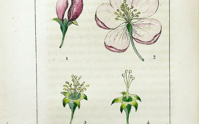 FRUIT GROWING -- PHILLIPS, H. Pomarium Brittanicum: An historical and...