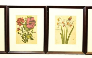 Four Framed 18th Century Style Botanical Prints
