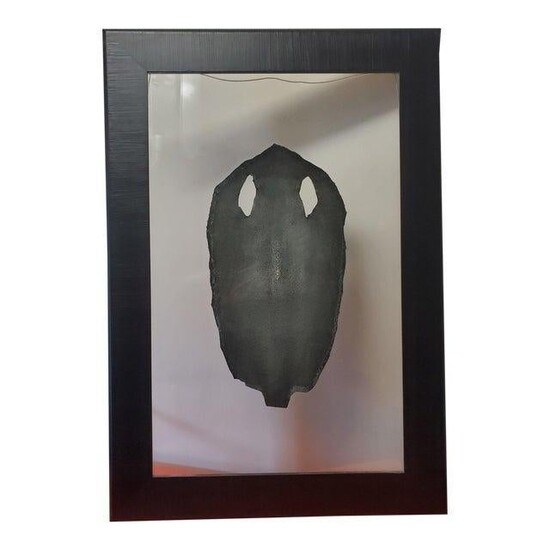Framed leather in glass R&Y Agusti Shagreen