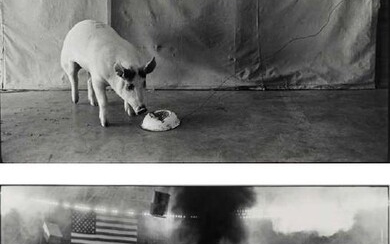Geoff Winningham (born 1934) Livestock Show, Houston; and Recreation of the Battle of Pork Chop Hill 2