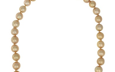 Gold, Polynesian Golden South Sea Pearl Necklace