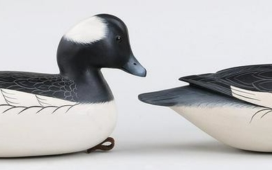 Group of (2) Drake Bufflehead by Clarence Fennimore