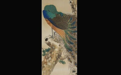 Hanging scroll (1) - Silk - Peacock and Pine tree - "Peacock and Pine tree" - Chokuho Yoshimura(?-?) - Japan - Shōwa period (1926-1989)