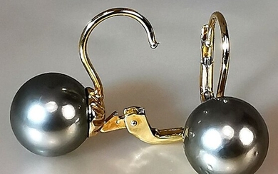 LOW RESERVE PRICE - 18 kt. Tahitian pearls, Yellow gold, Ø 10 mm - Earrings