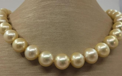 Large 10.2X14.2mm Champagne Golden South Sea Pearls - 14 kt. Yellow gold - Necklace