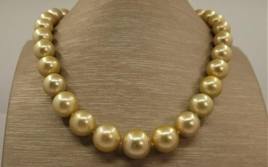 Large Size - 10.5x14.5mm Golden South Sea Pearls - Necklace