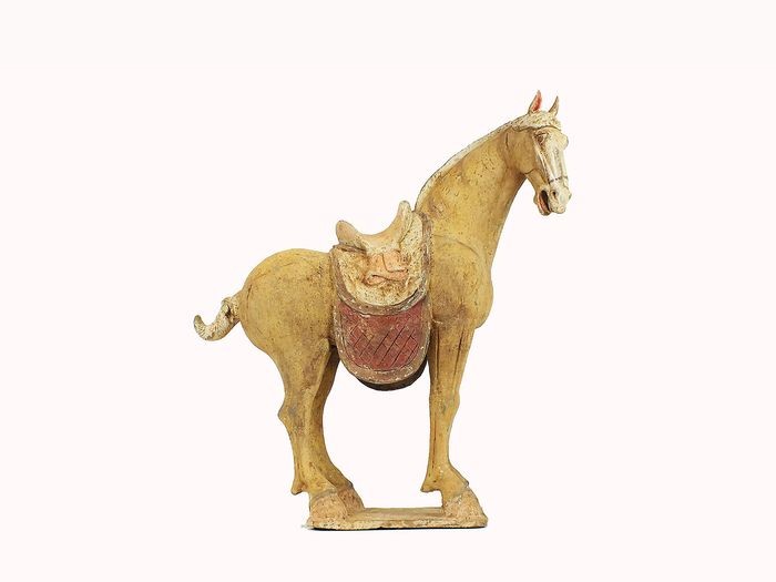 Mingqi - Terracotta - Very Large and Monumental Pottery Figure of a Ferghana Horse, TL test, H- 63 cm. - China - Tang Dynasty (618-907)