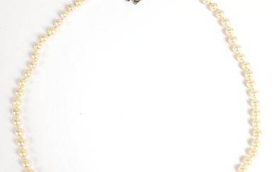 NECKLACE of slightly falling cultured pearls white gold clasp adorned with a sapphire, length. 58 cm approx.