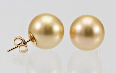 NO RESERVE - 10x11mm Round Golden South Sea Pearls - 14 kt. Yellow gold - Earrings
