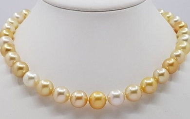 NO RESERVE PRICE - 18 kt. Yellow Gold - 9.5x12mm Round Multi-Coloured Golden South Sea Pearls - Necklace