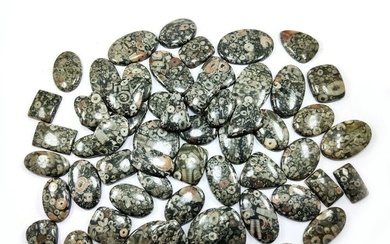 Natural Crinoid Fossil Gemstone Mix Shape 5000 Cts.
