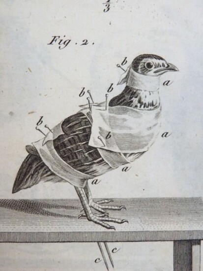 P.F. Nicolas - Méthode de préparer et conserver les Animaux...pour les cabinets d'histoire naturelle (taxidermie) - 1800