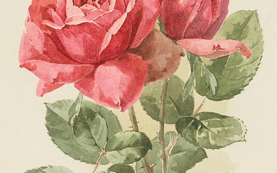 Paul de Longpre (1855-1911) Roses sight 11 x 8 in....