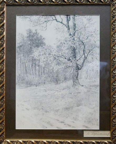 Pencil painting Forest landscape Bortnikov Nikolay Fedorovich